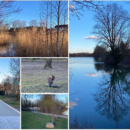 Ferienwohnung Am Jahnteich Weisswasser Exteriör bild